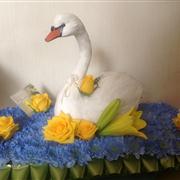 Swan