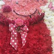 SPECIALISED ARRANGEMENTS