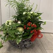 Christmas Planter